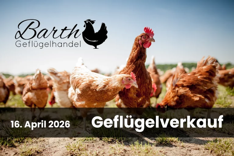 Gefluegelverkauf